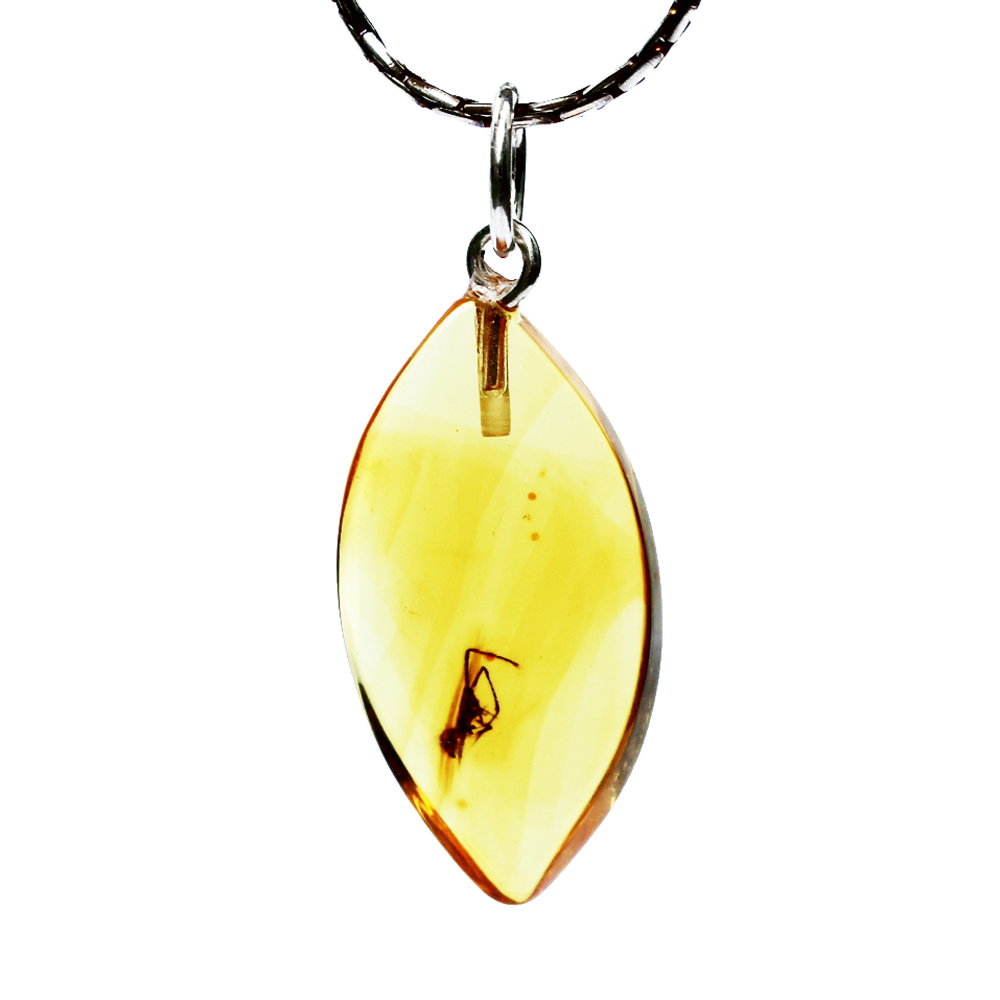 Golden Amber with inclusion