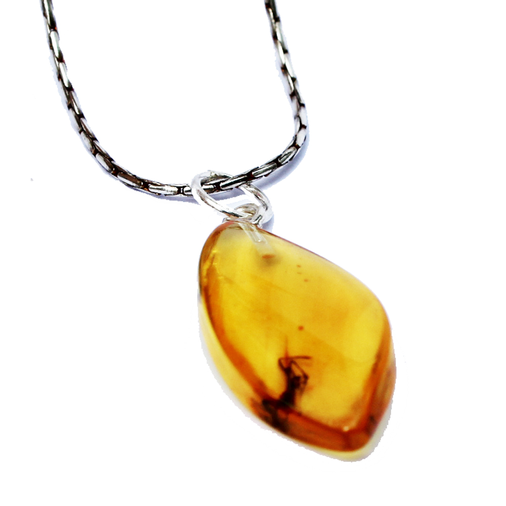 Golden Amber with inclusion