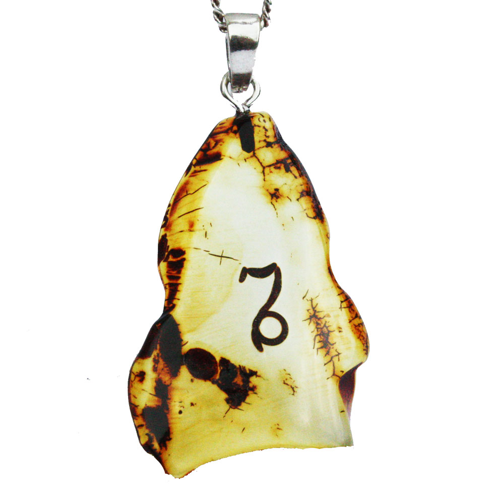 Baltic Amber pendant - Capricorn