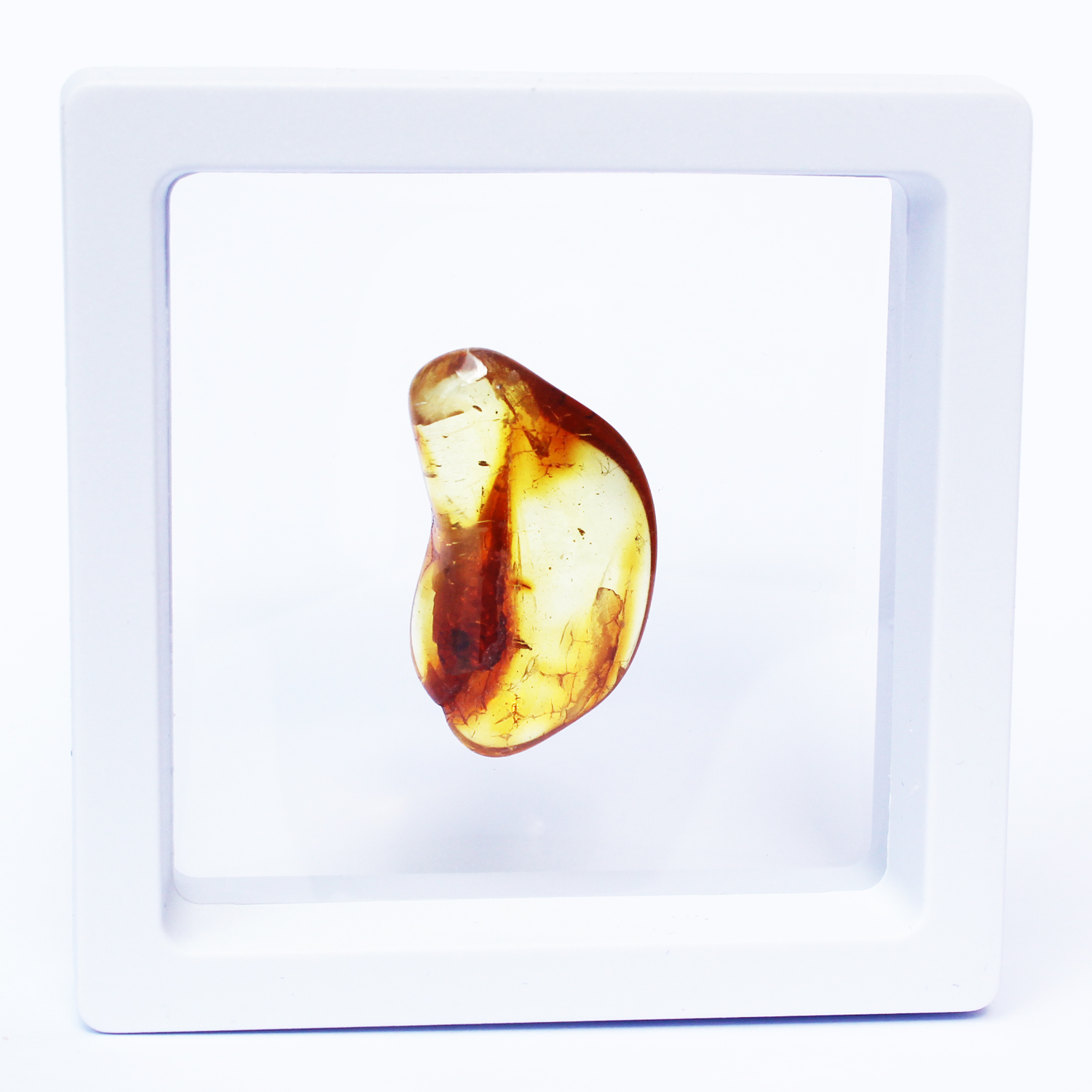 Polished Natural Amber in Box 11
