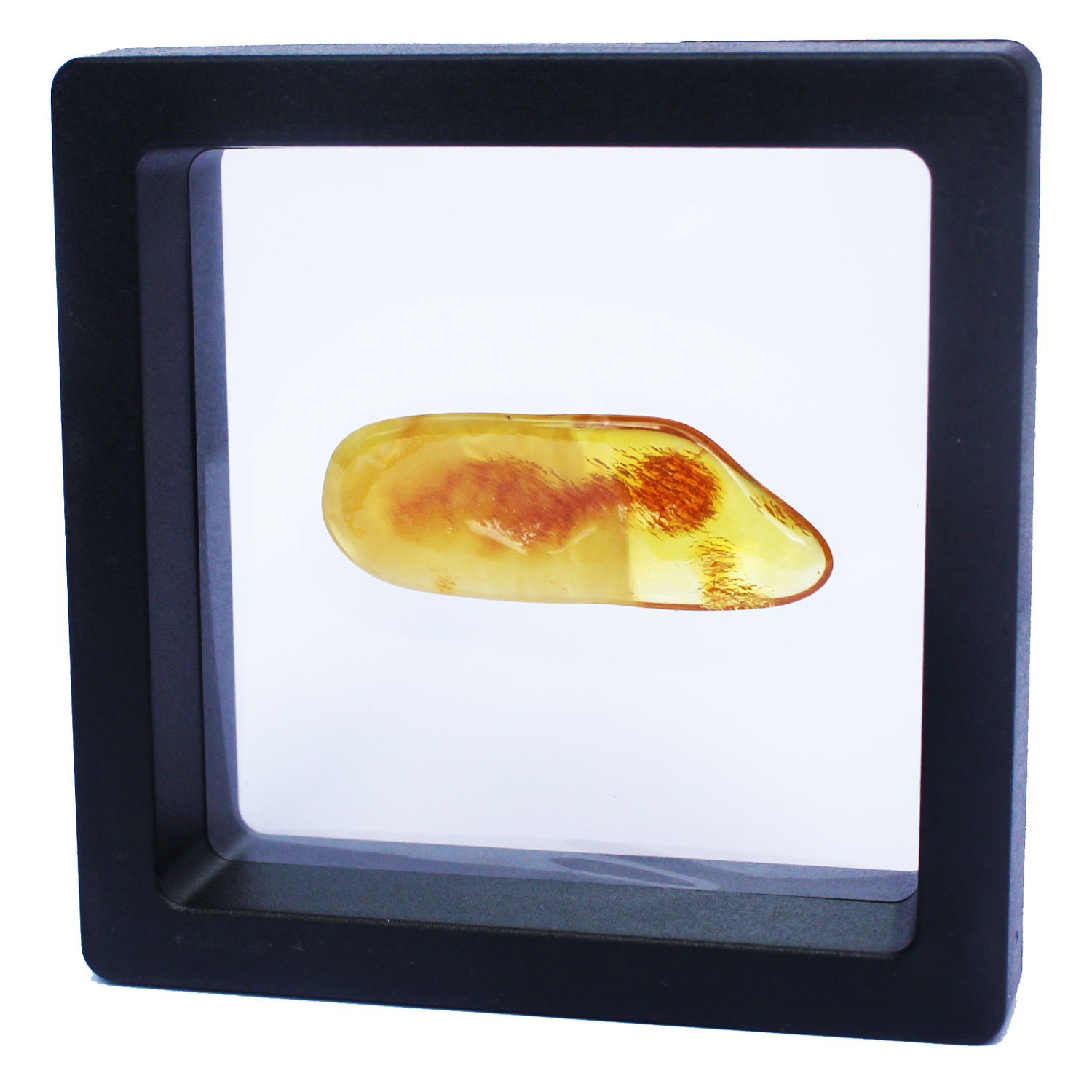 Polished Natural Amber in Box 1