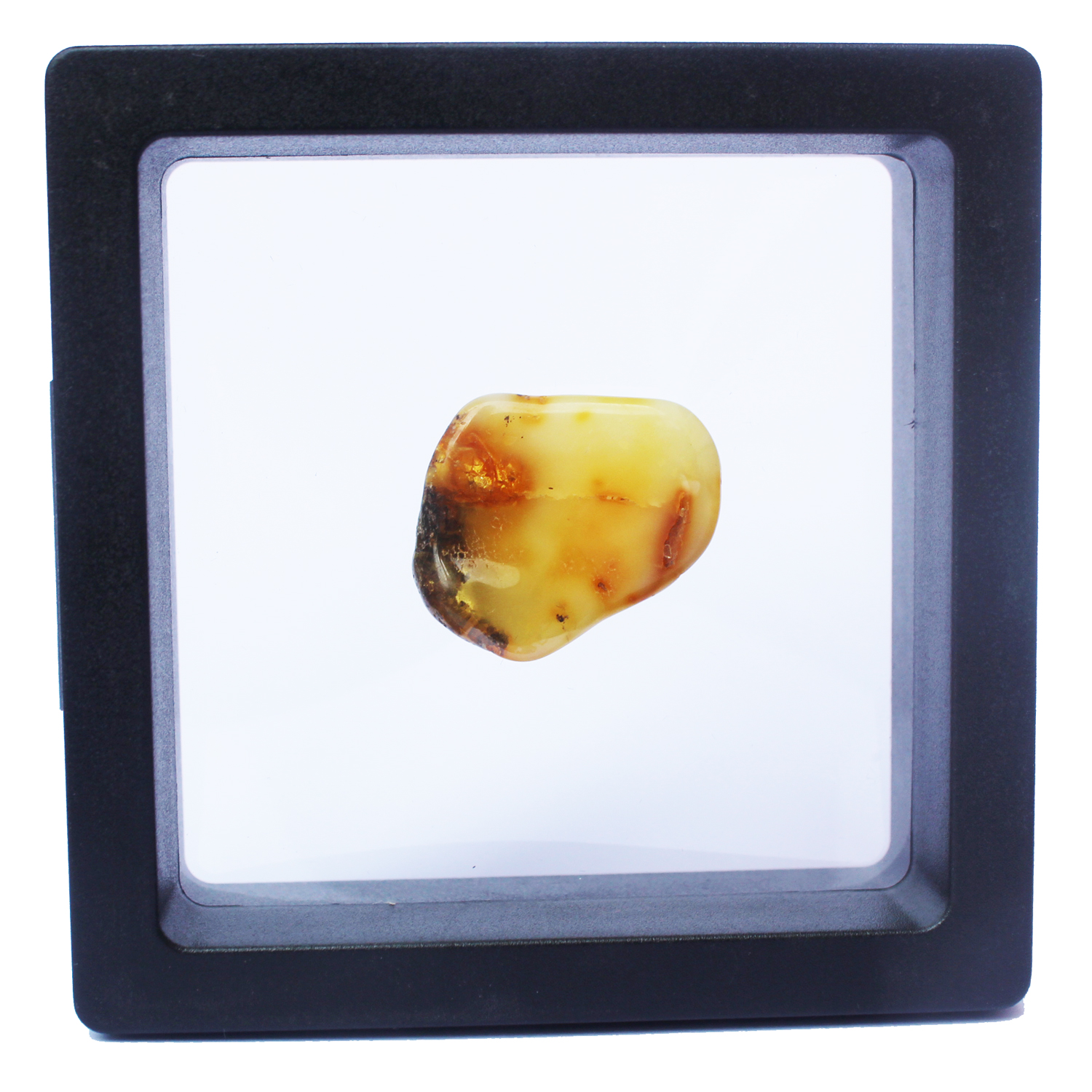 Polished Natural Amber in Box 3