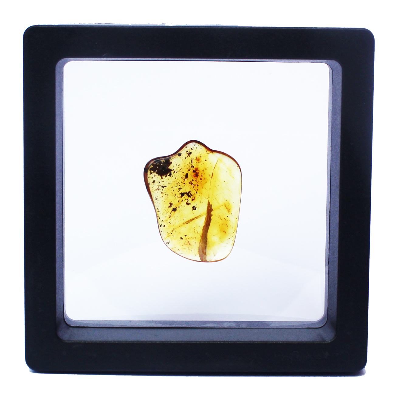 Polished Natural Amber in Box 4