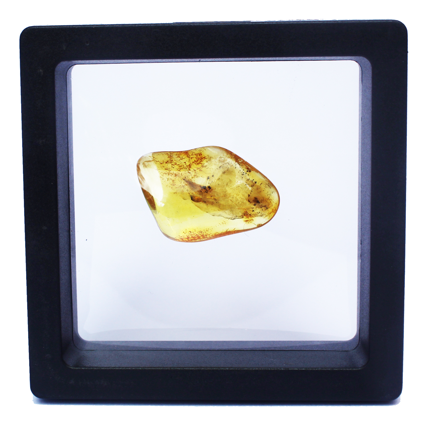 Polished Natural Amber in Box 6