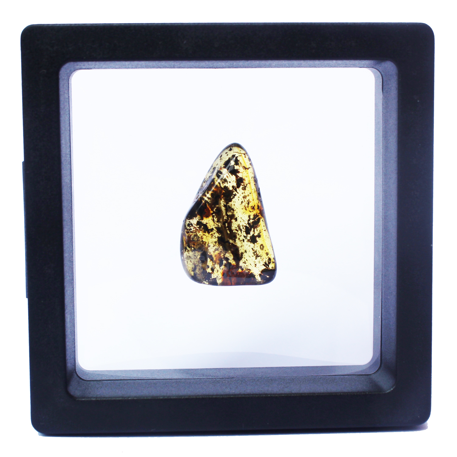 Polished Natural Amber in Box 2