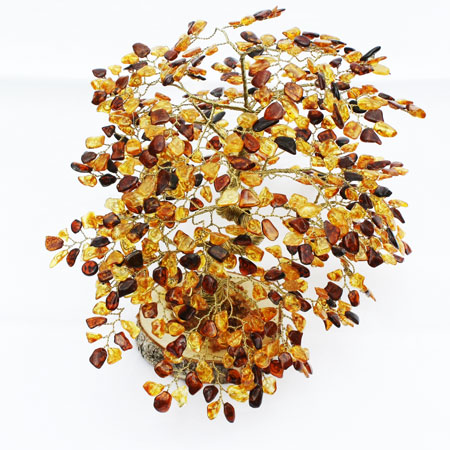 Large Autumn Colours Amber Oak Tree
