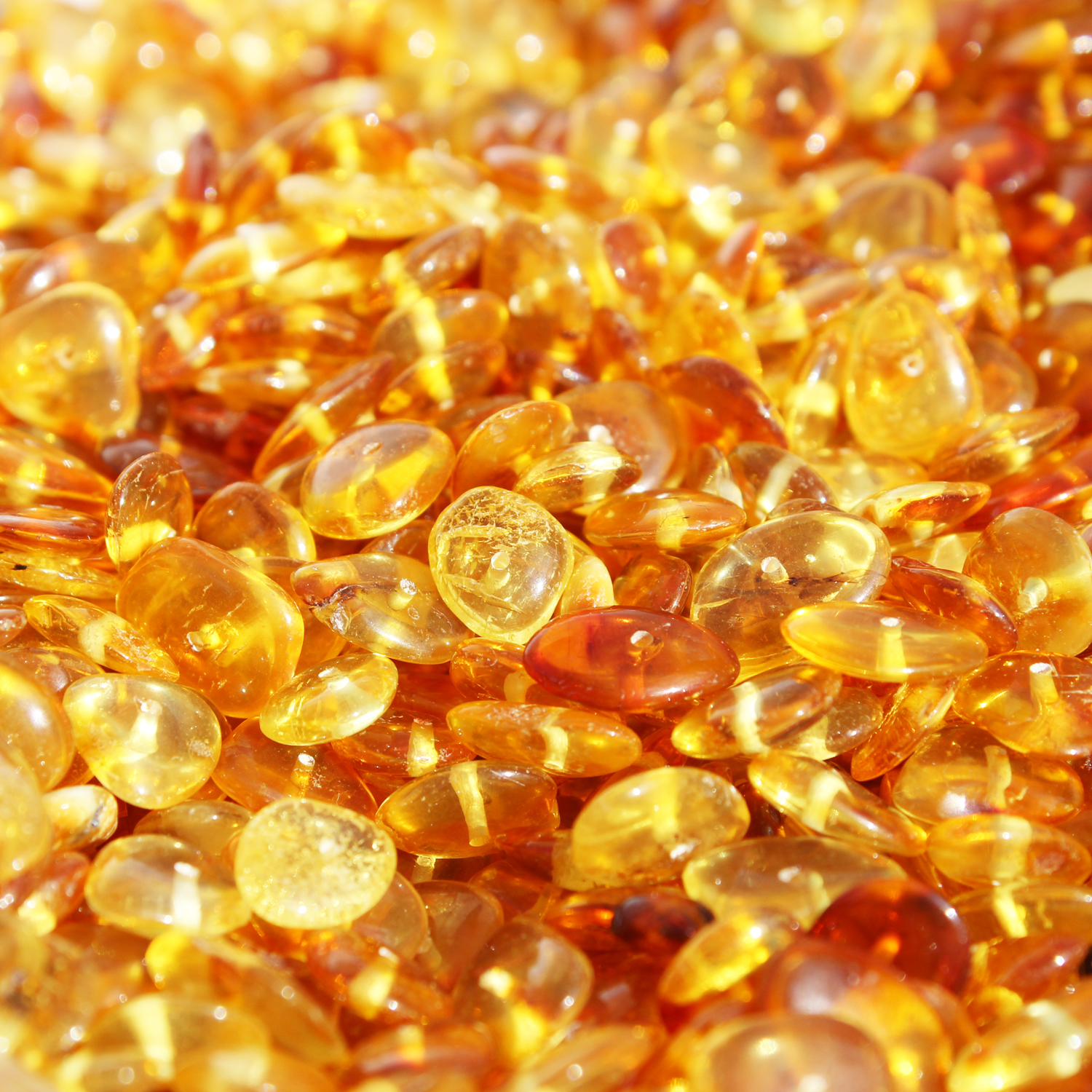 Flat Honey Amber beads